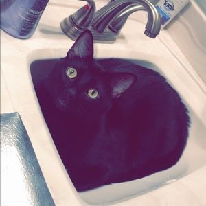 Meet your Posher, Jillian